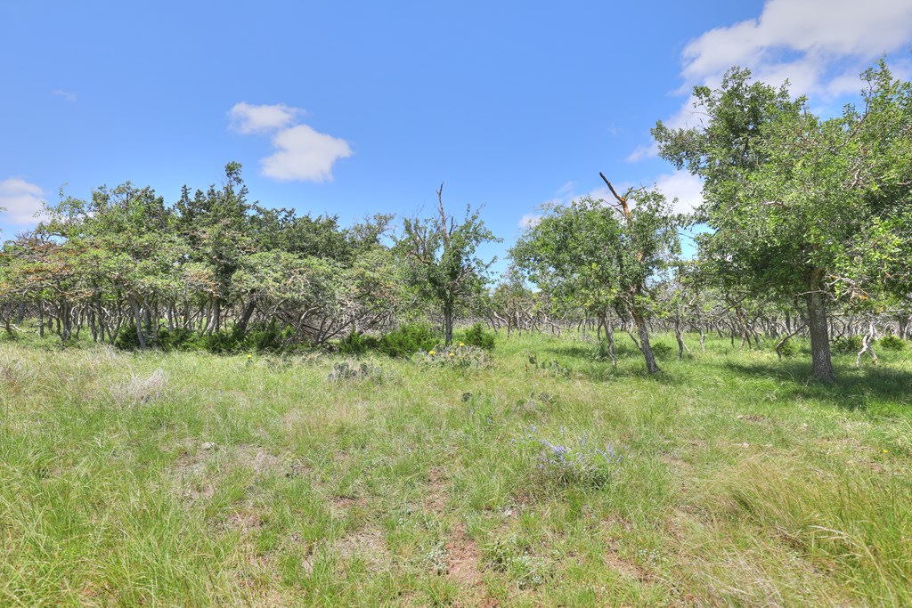 2600 Reservation Rd