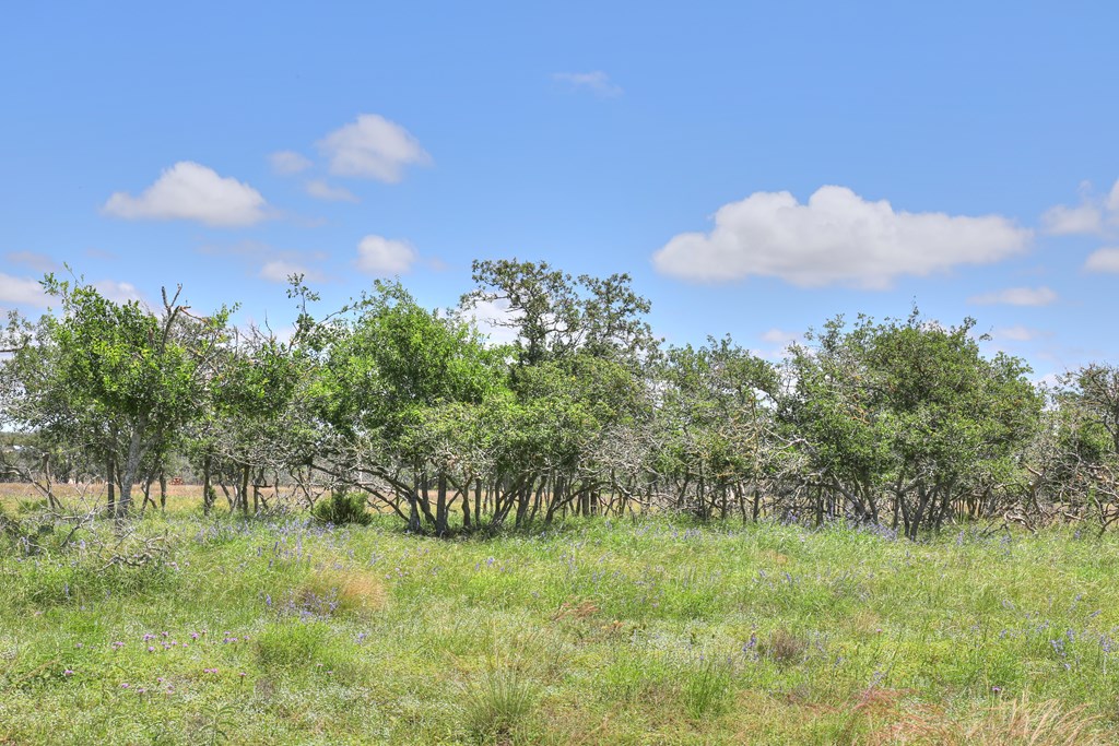 2600 Reservation Rd