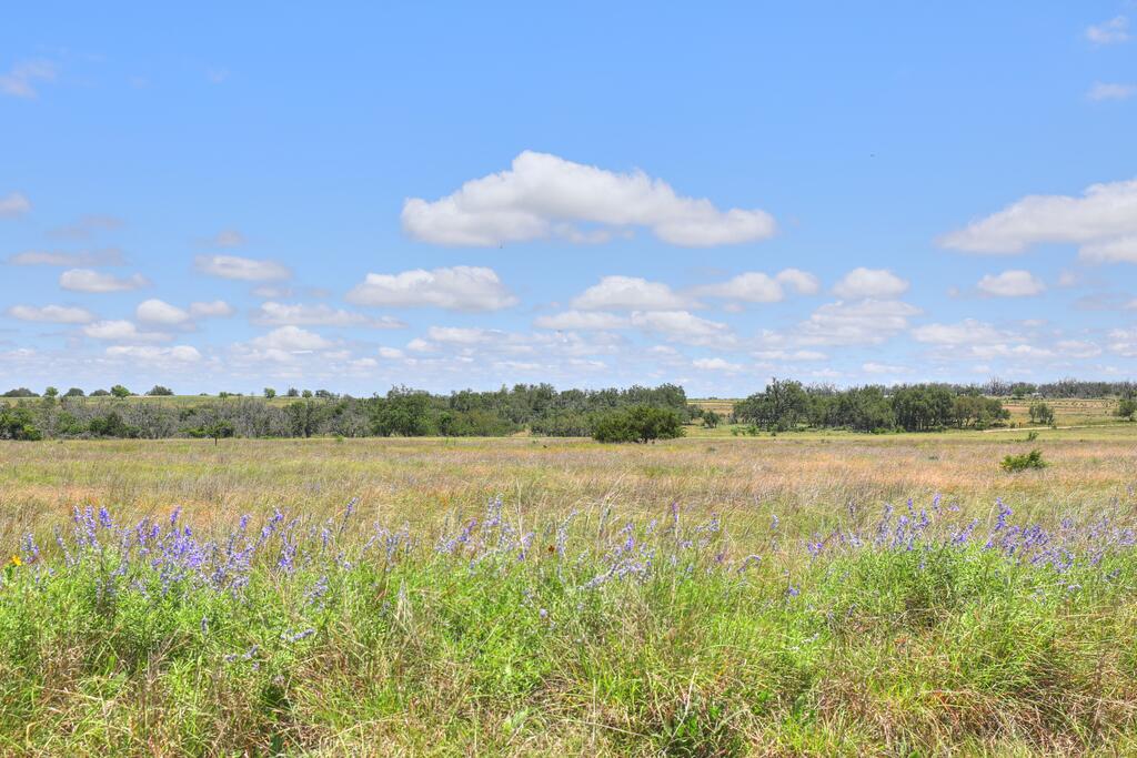 Open grassy property with purple wildflowers and a distant line of trees.
