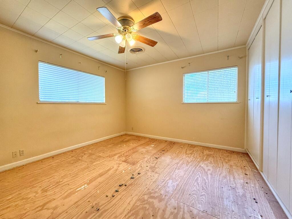 Empty room with two windows, closet doors, a ceiling fan, and plywood flooring.