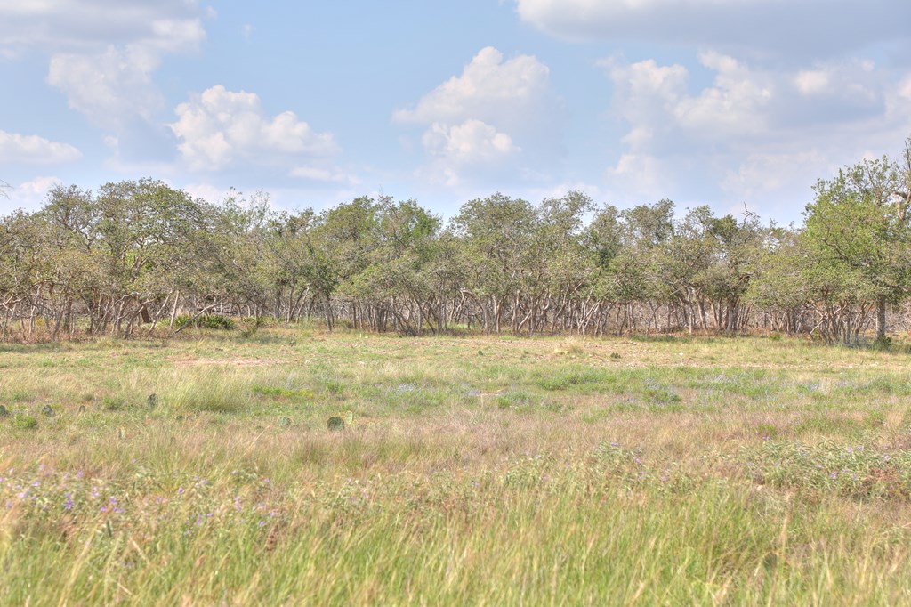 2546-2 Reservation Rd