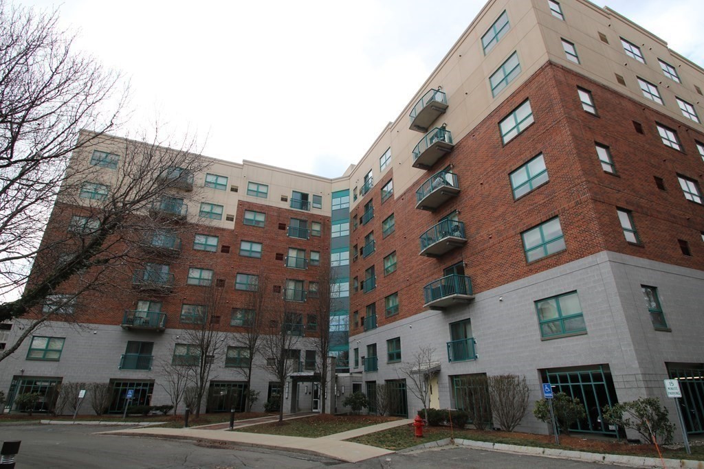 175 Cottage Street # 514