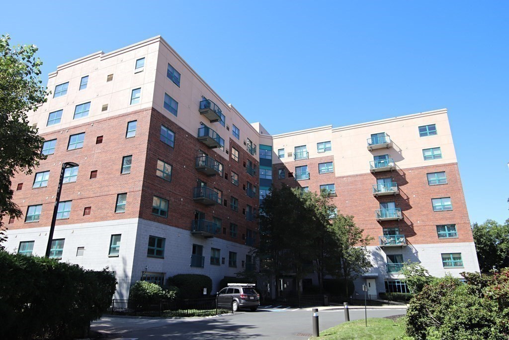175 Cottage Street # 514