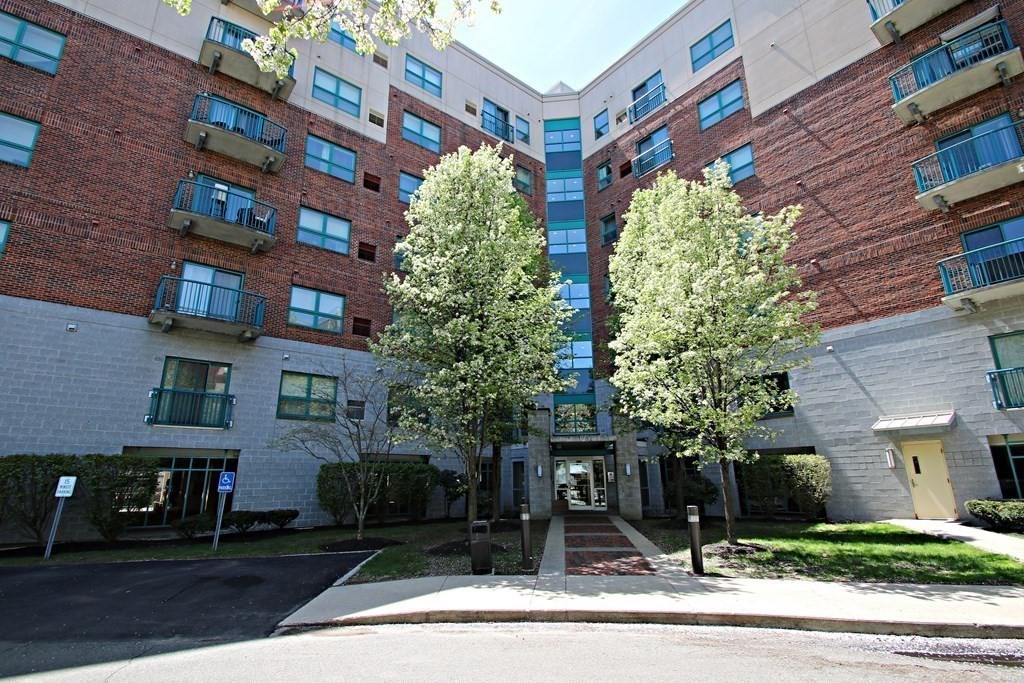 175 Cottage Street # 514