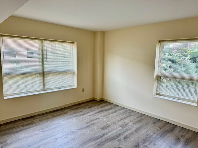 175 Cottage St # 309