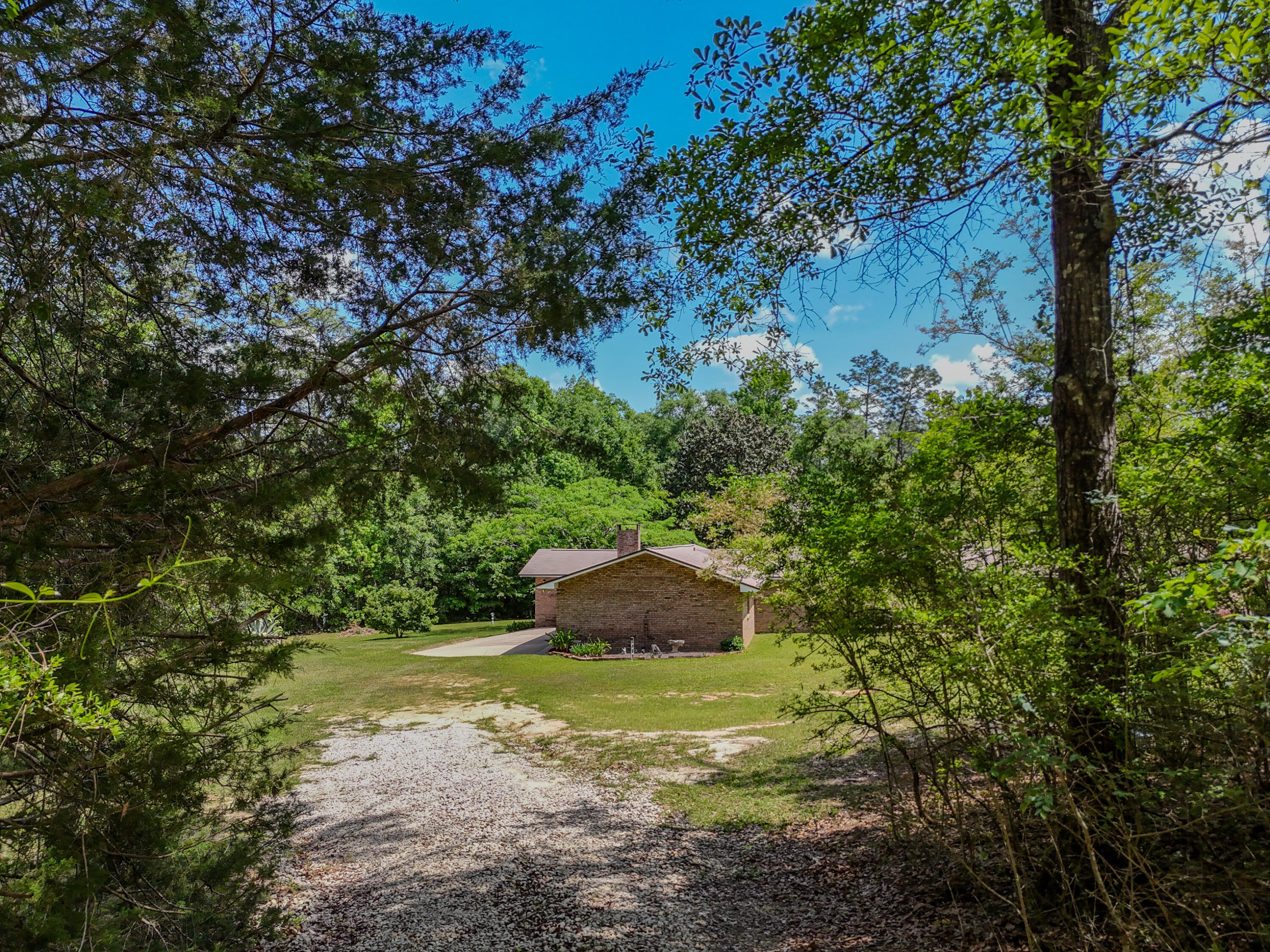 1186 Pine Forest Road