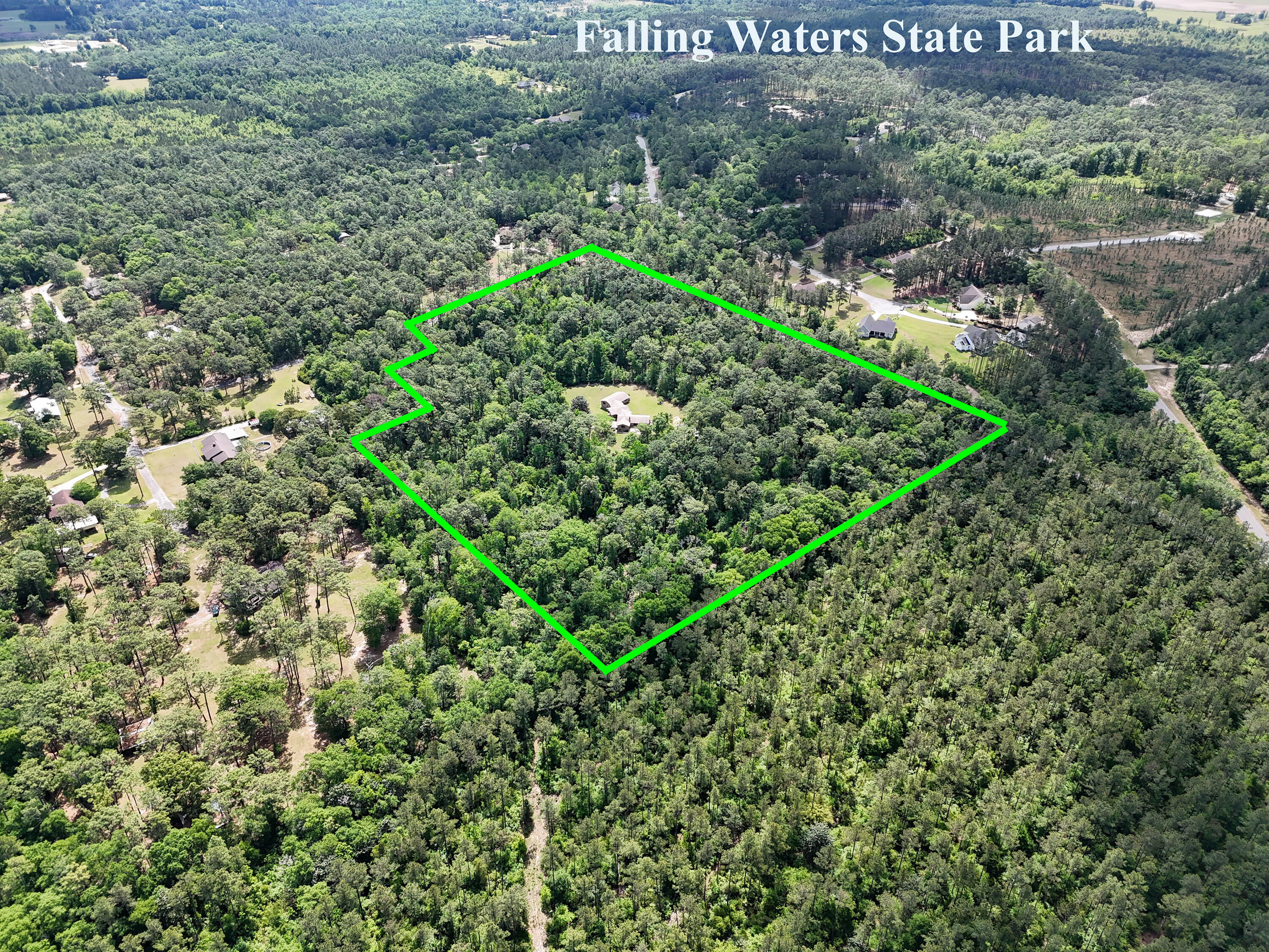 1186 Pine Forest Road