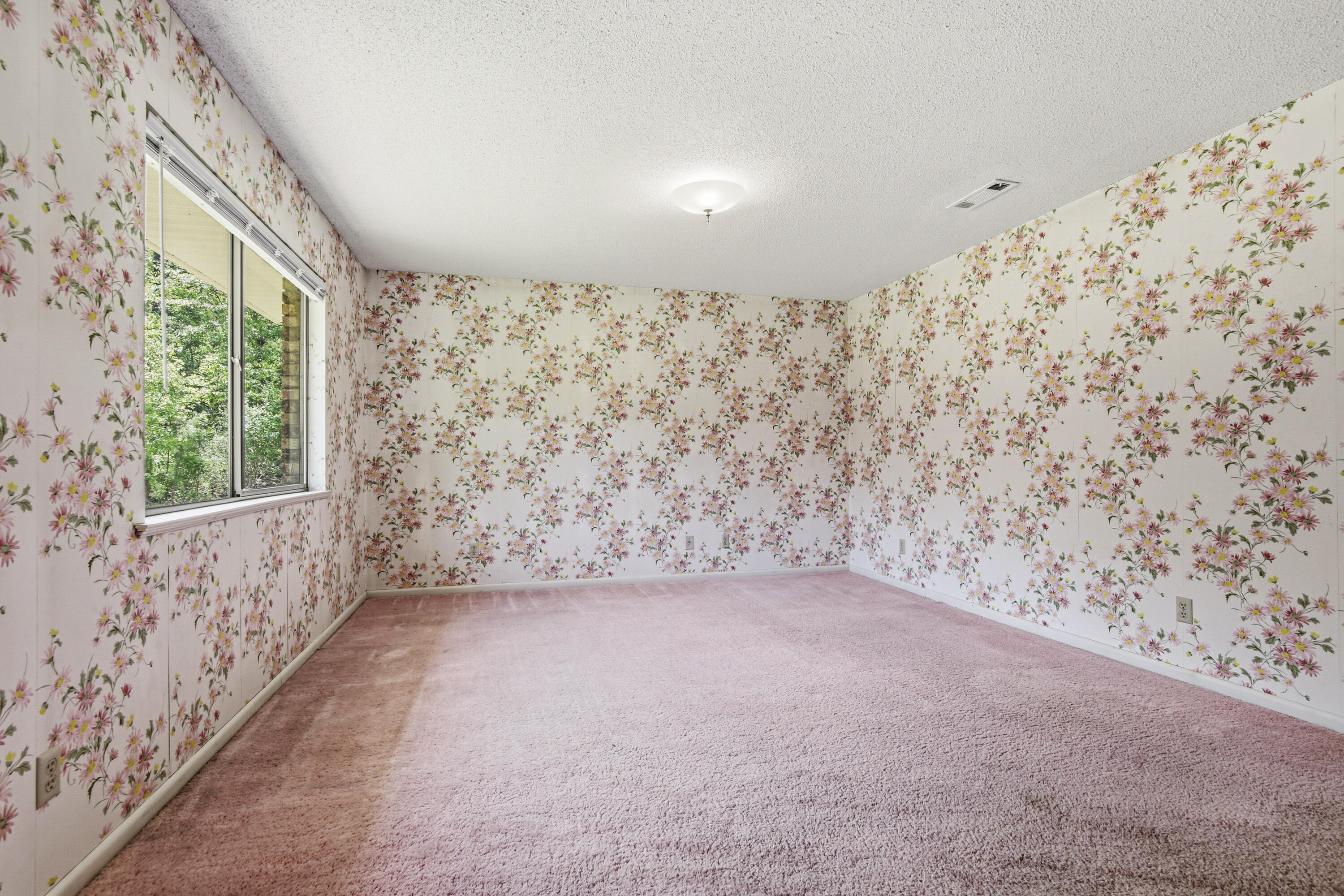 1186 Pine Forest Road