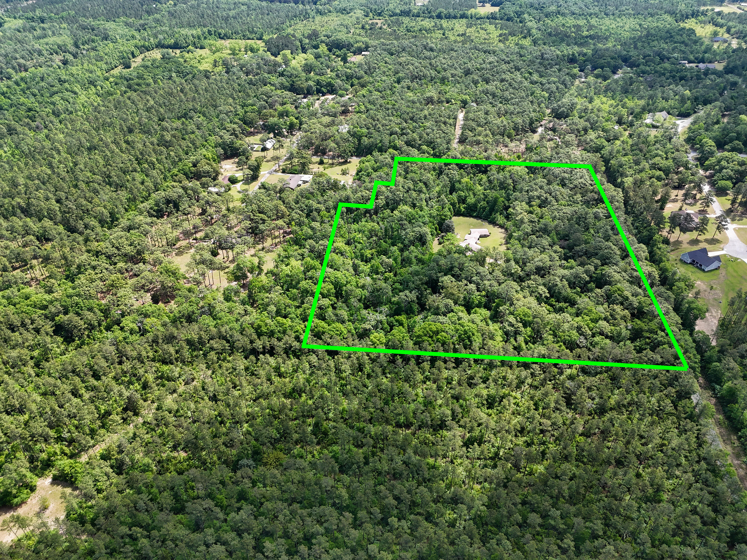 1186 Pine Forest Road