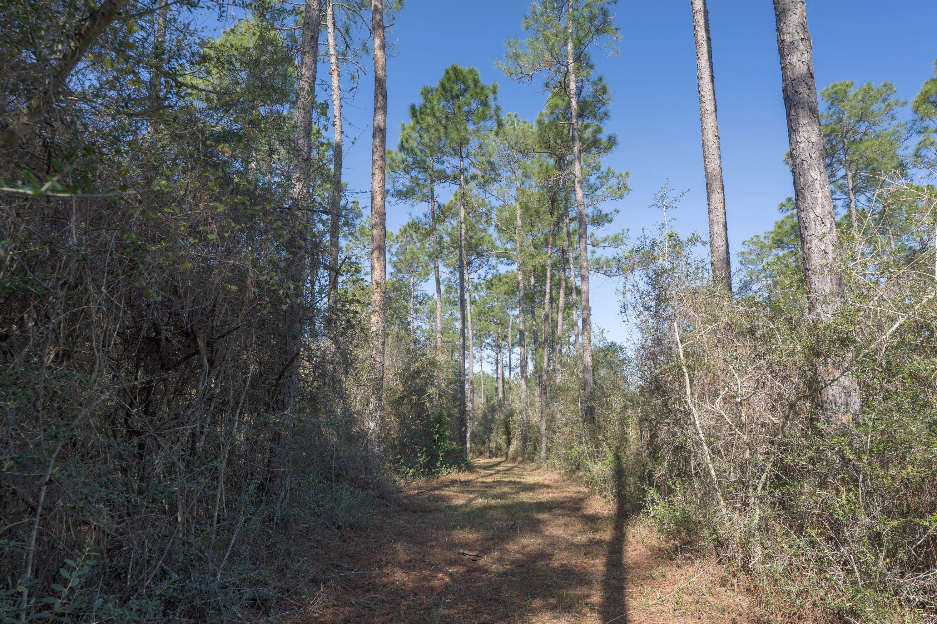 1482 N Planters Drive