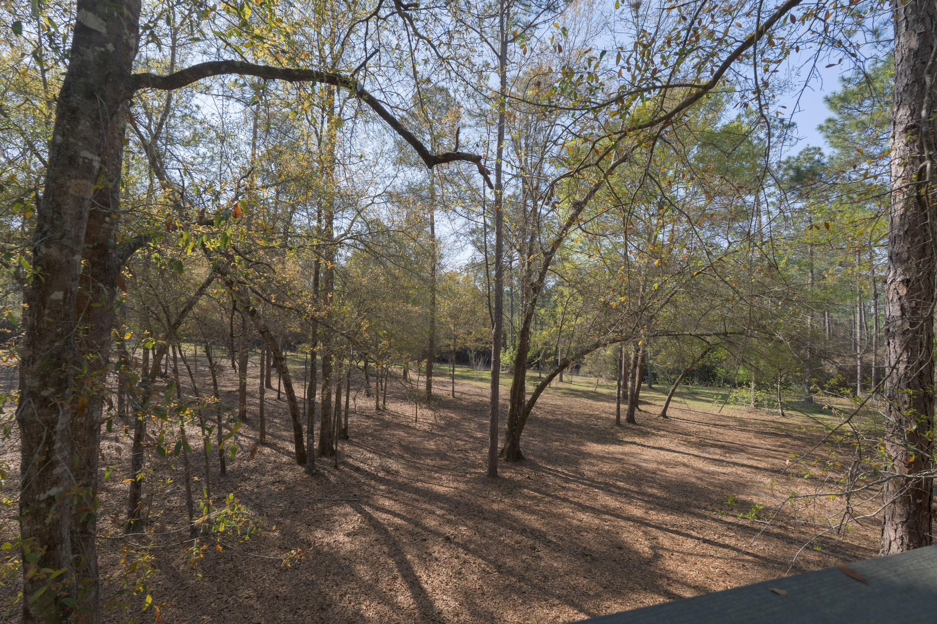 1482 N Planters Drive