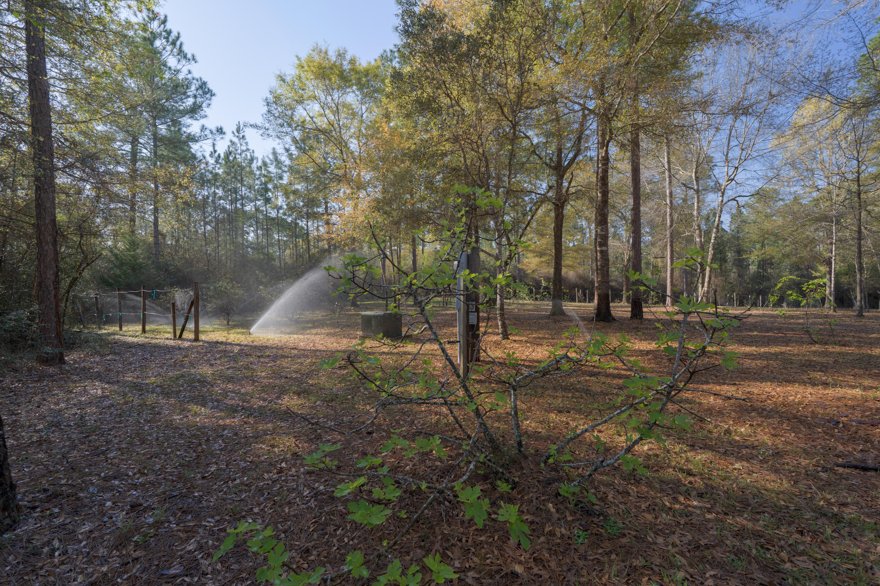 1482 N Planters Drive