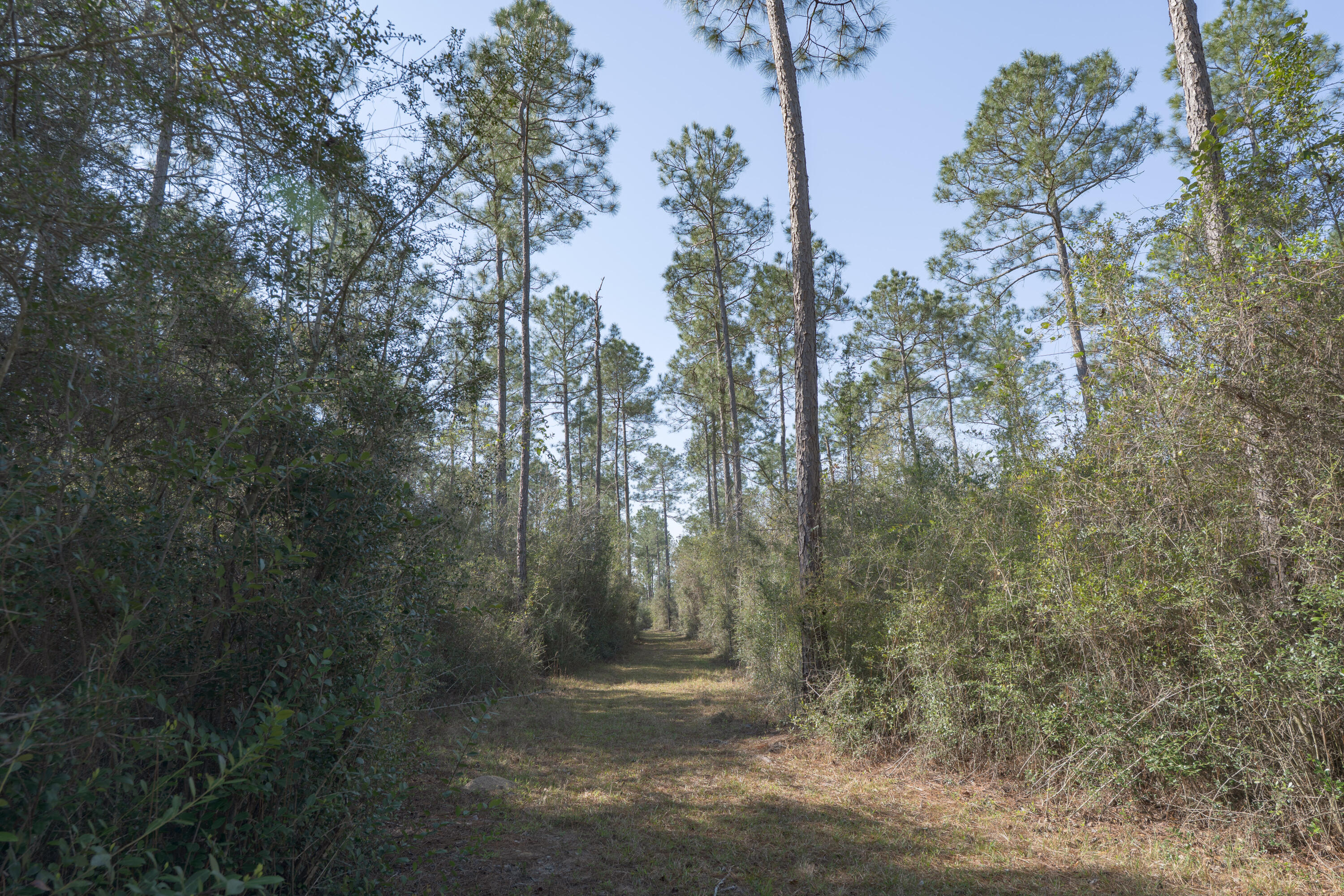 1482 N Planters Drive