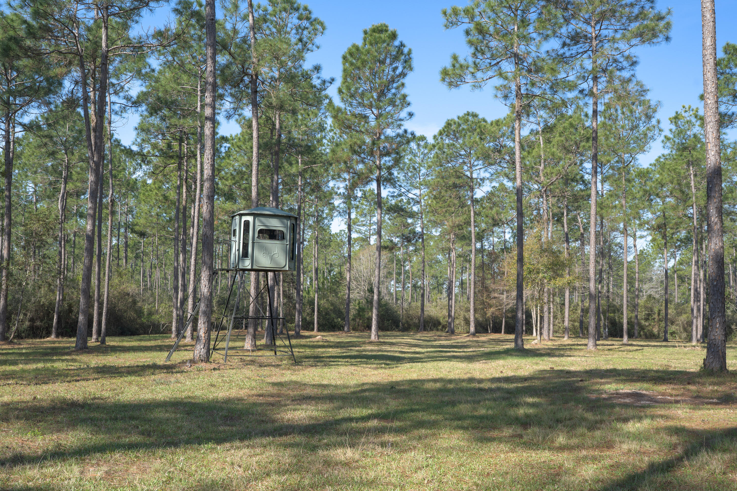 1482 N Planters Drive