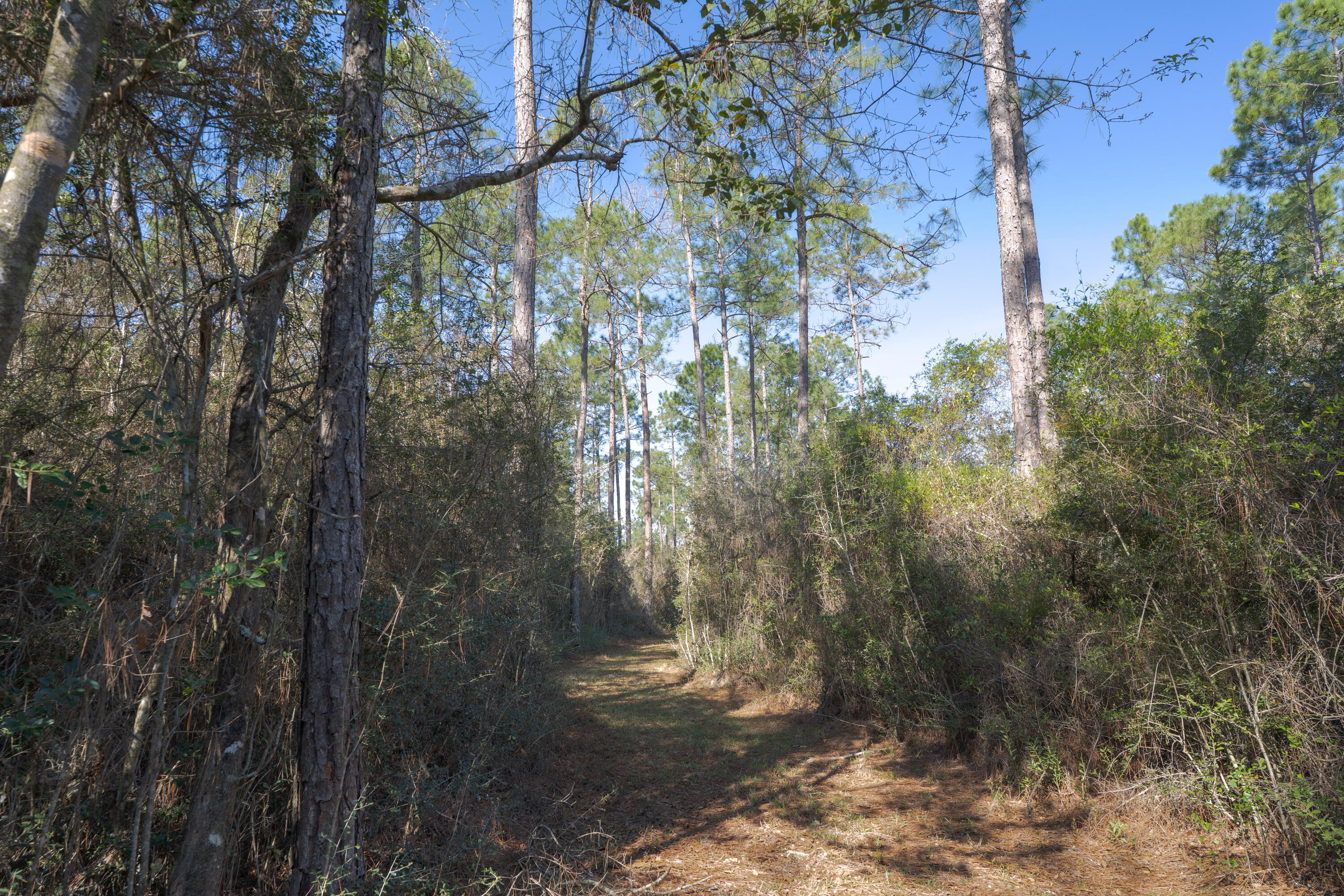 1482 N Planters Drive