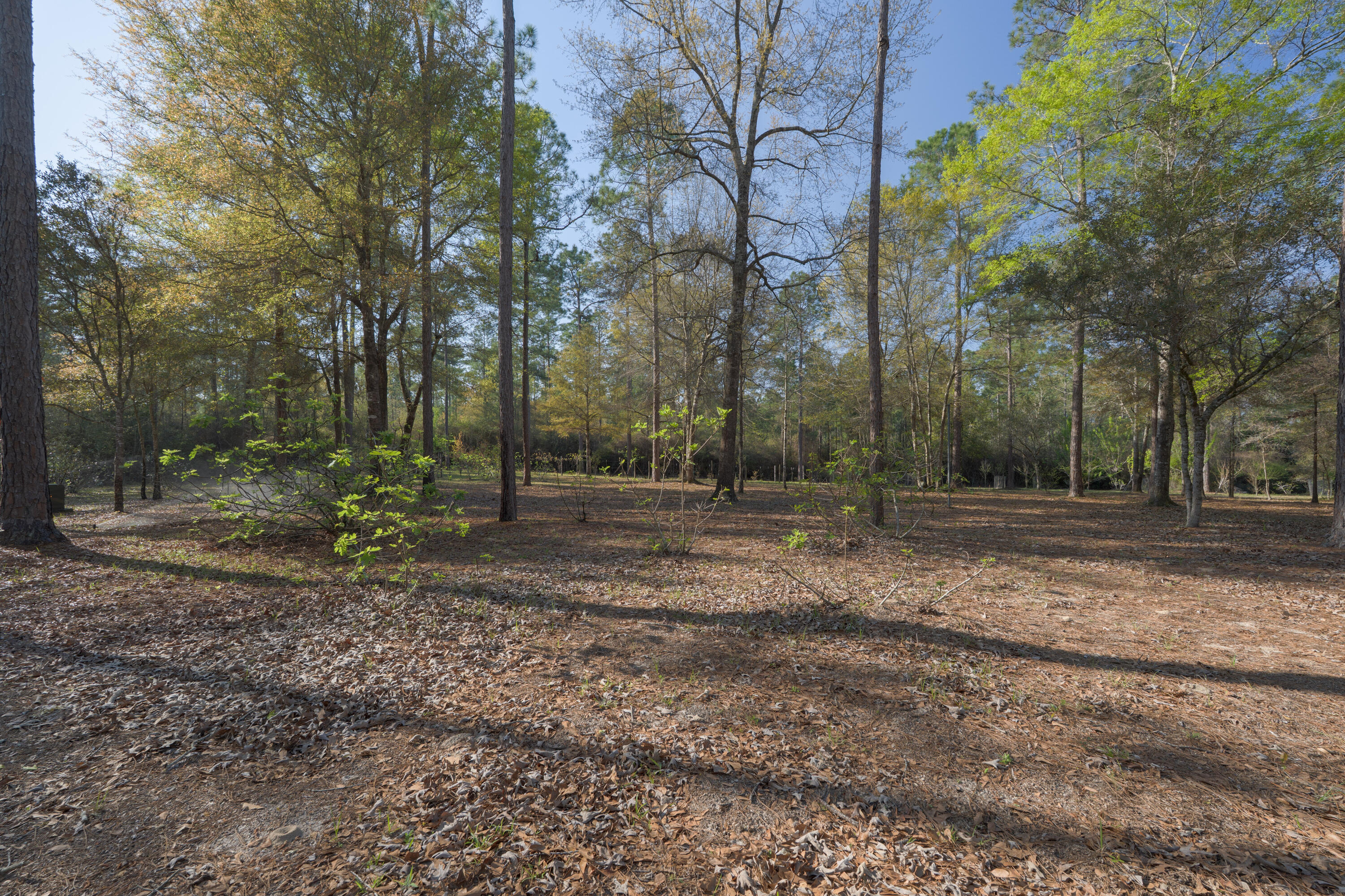 1482 N Planters Drive