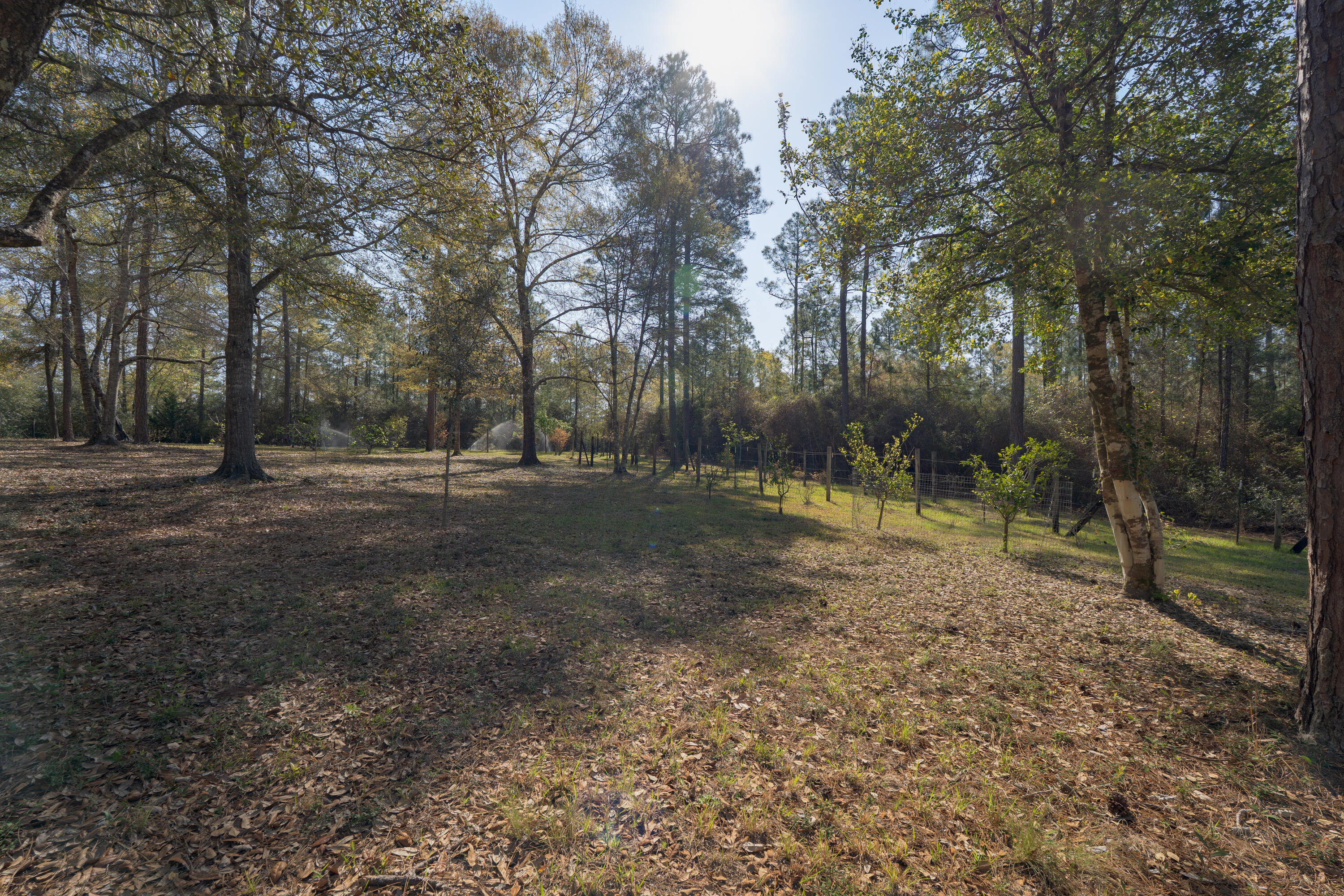 1482 N Planters Drive