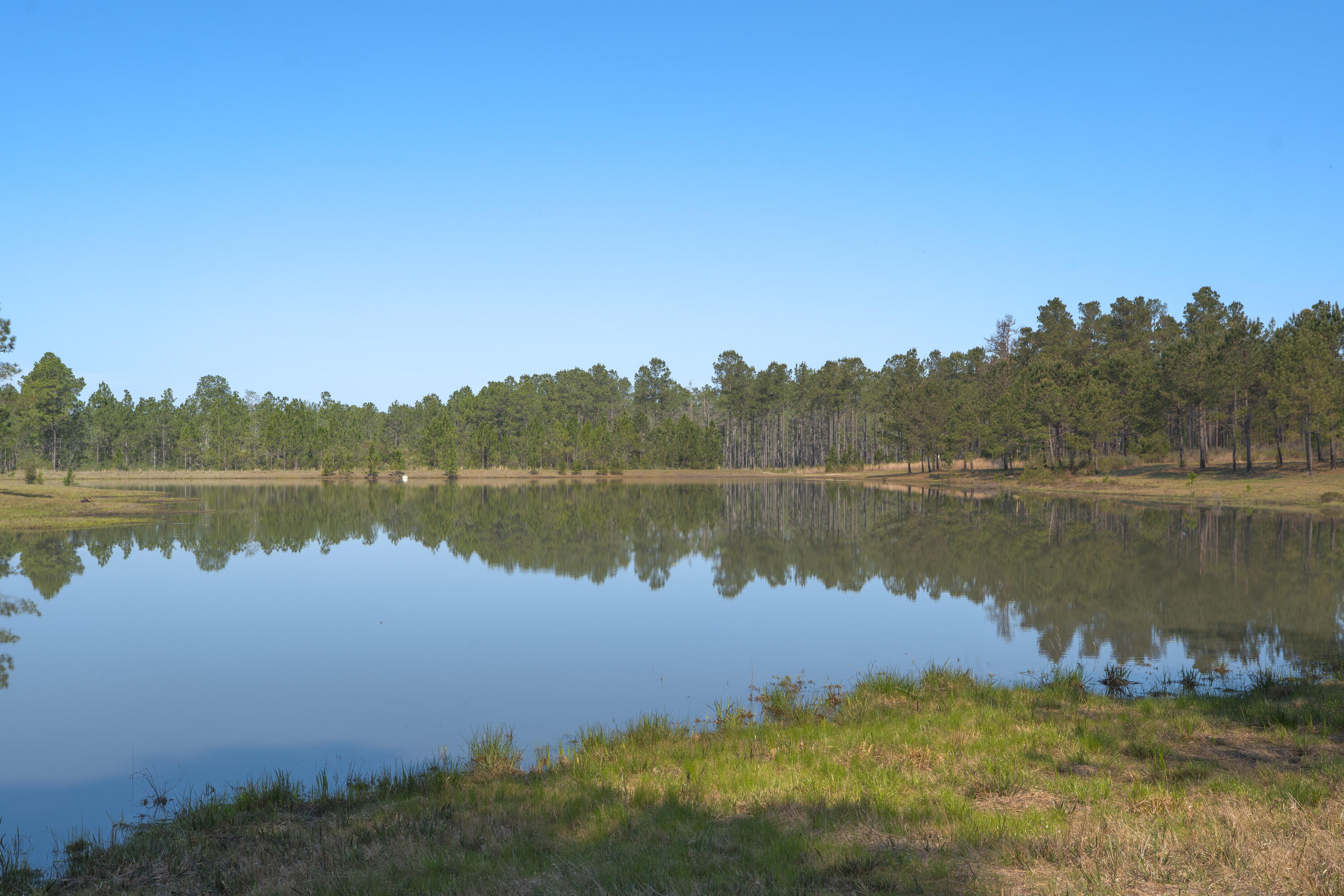 1482 N Planters Drive