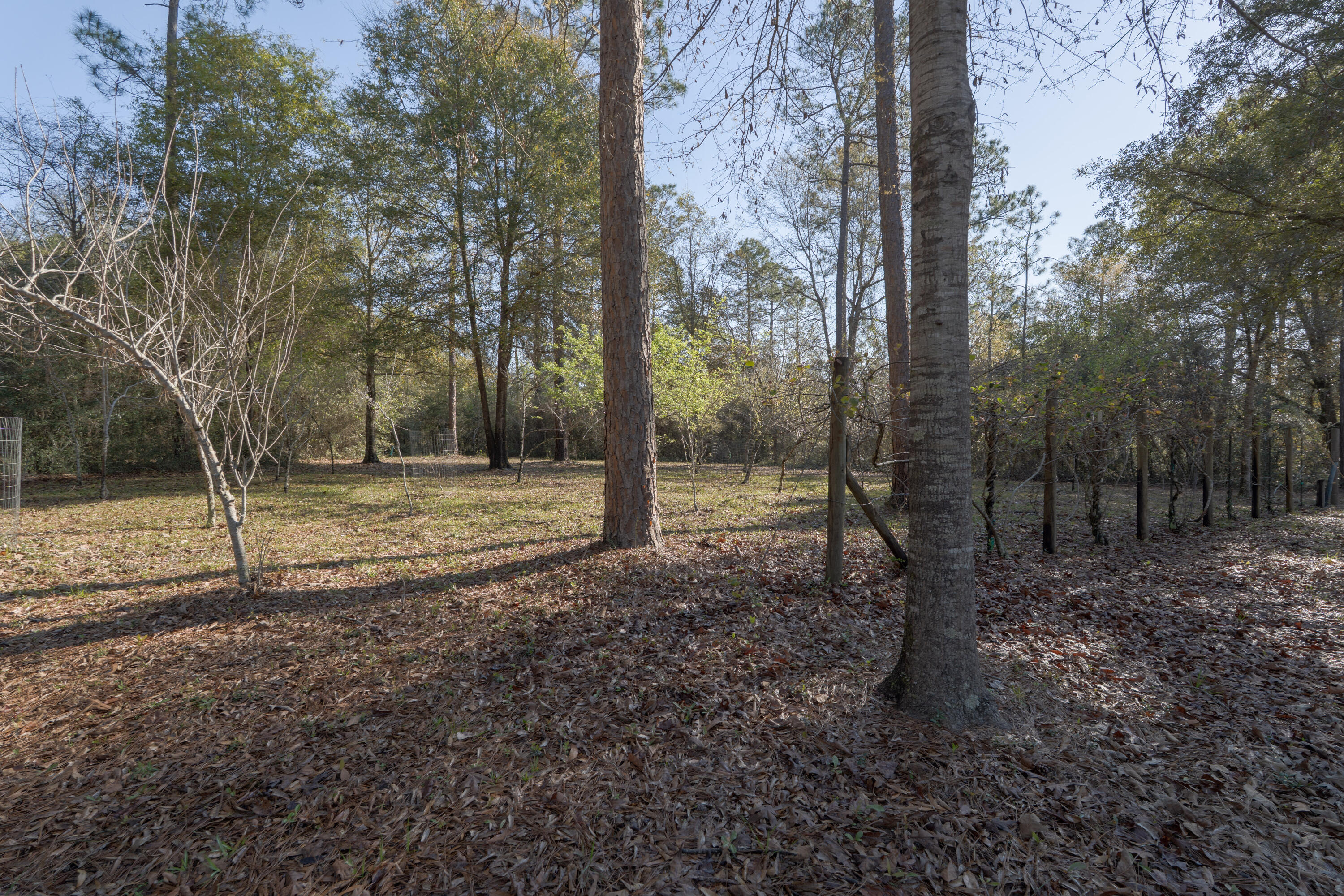 1482 N Planters Drive