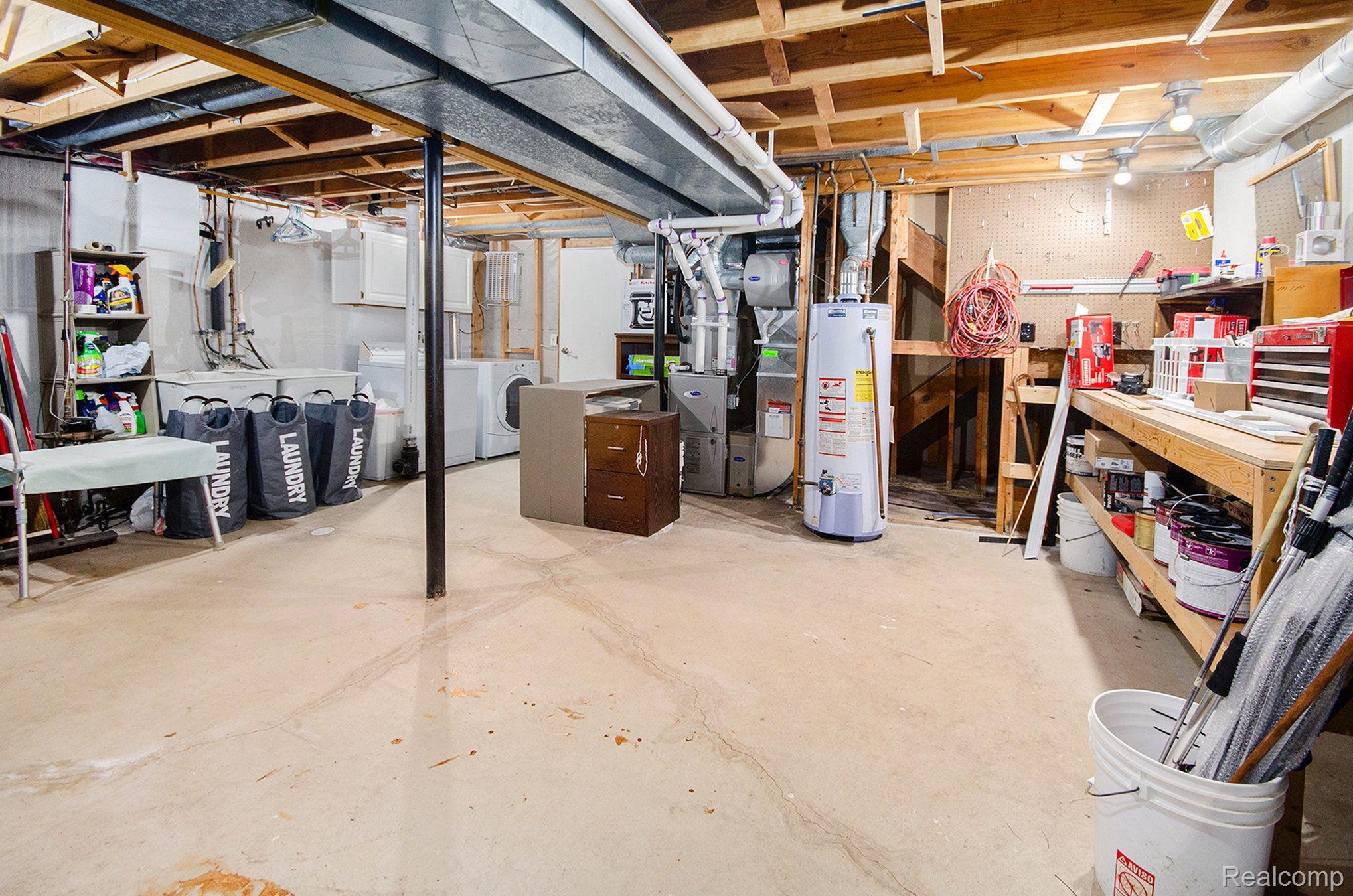 40241 OAK TREE