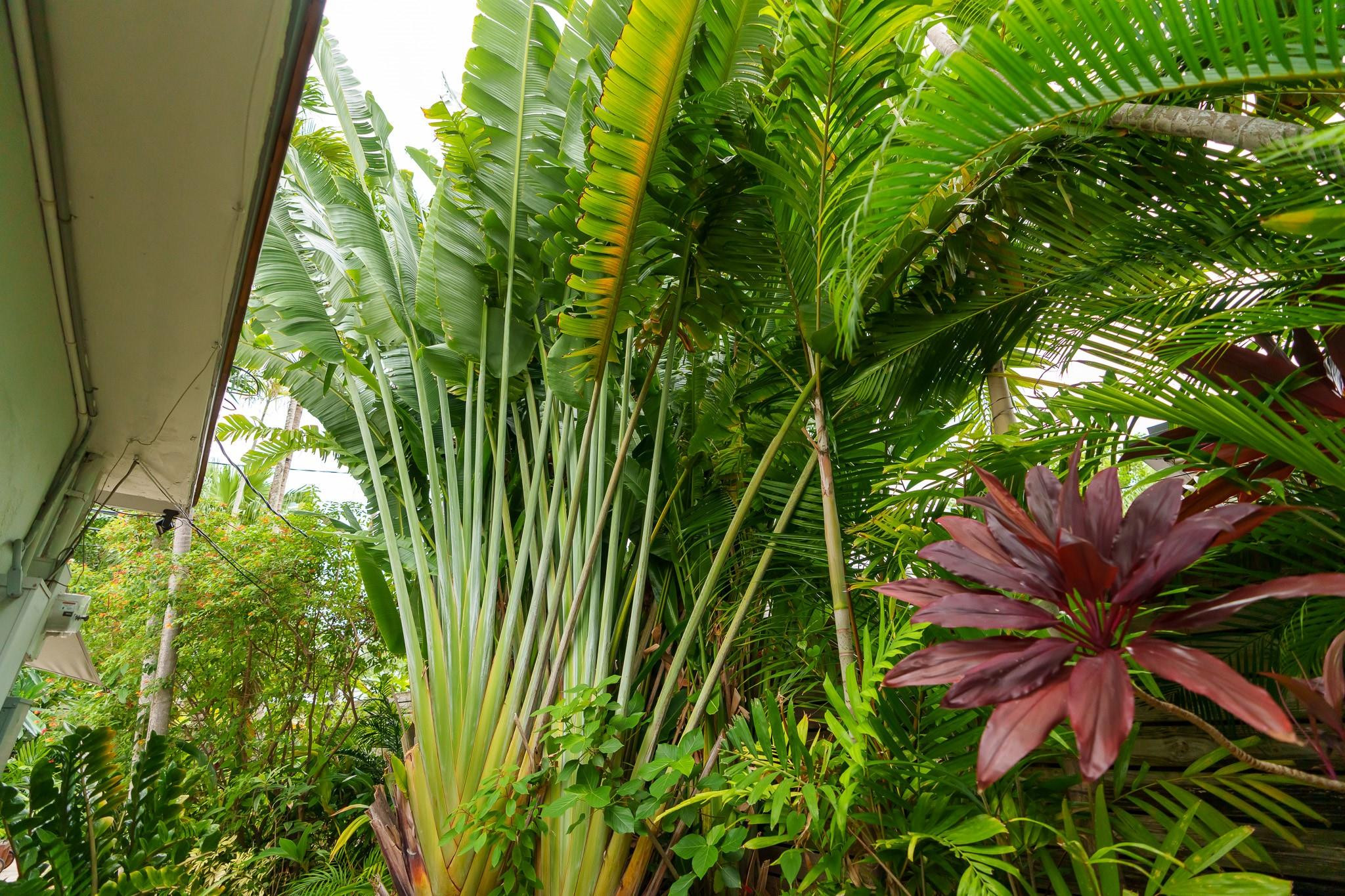 1627 NE 17th Ave