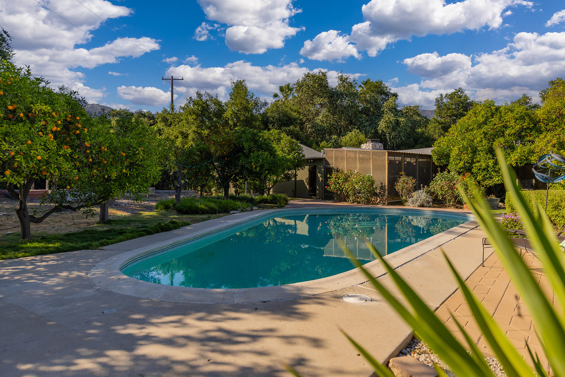 217 Sierra Road