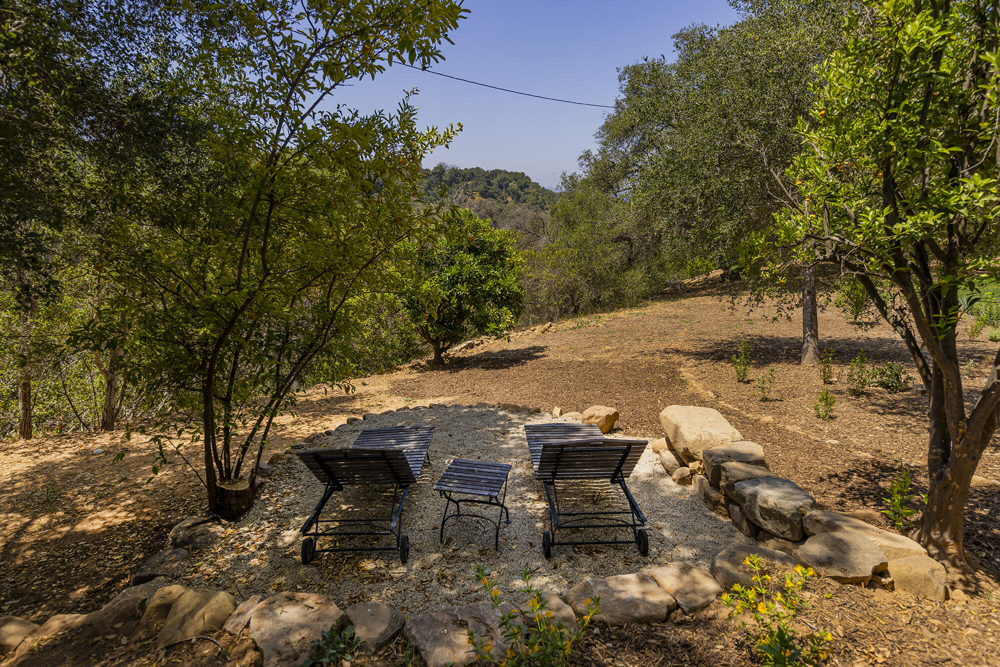 313 E Villanova Road
