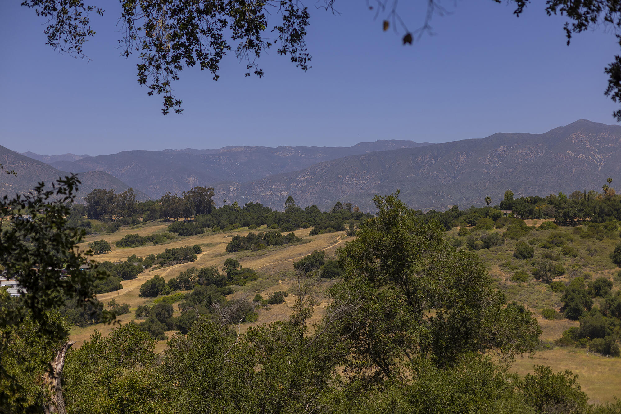 313 E Villanova Road