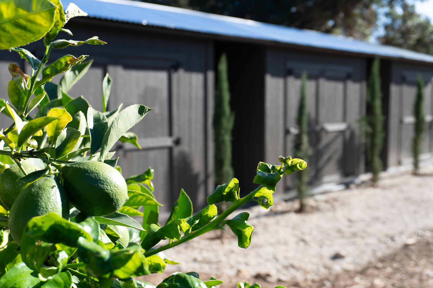 10802 Oak Knoll Road, OJAI