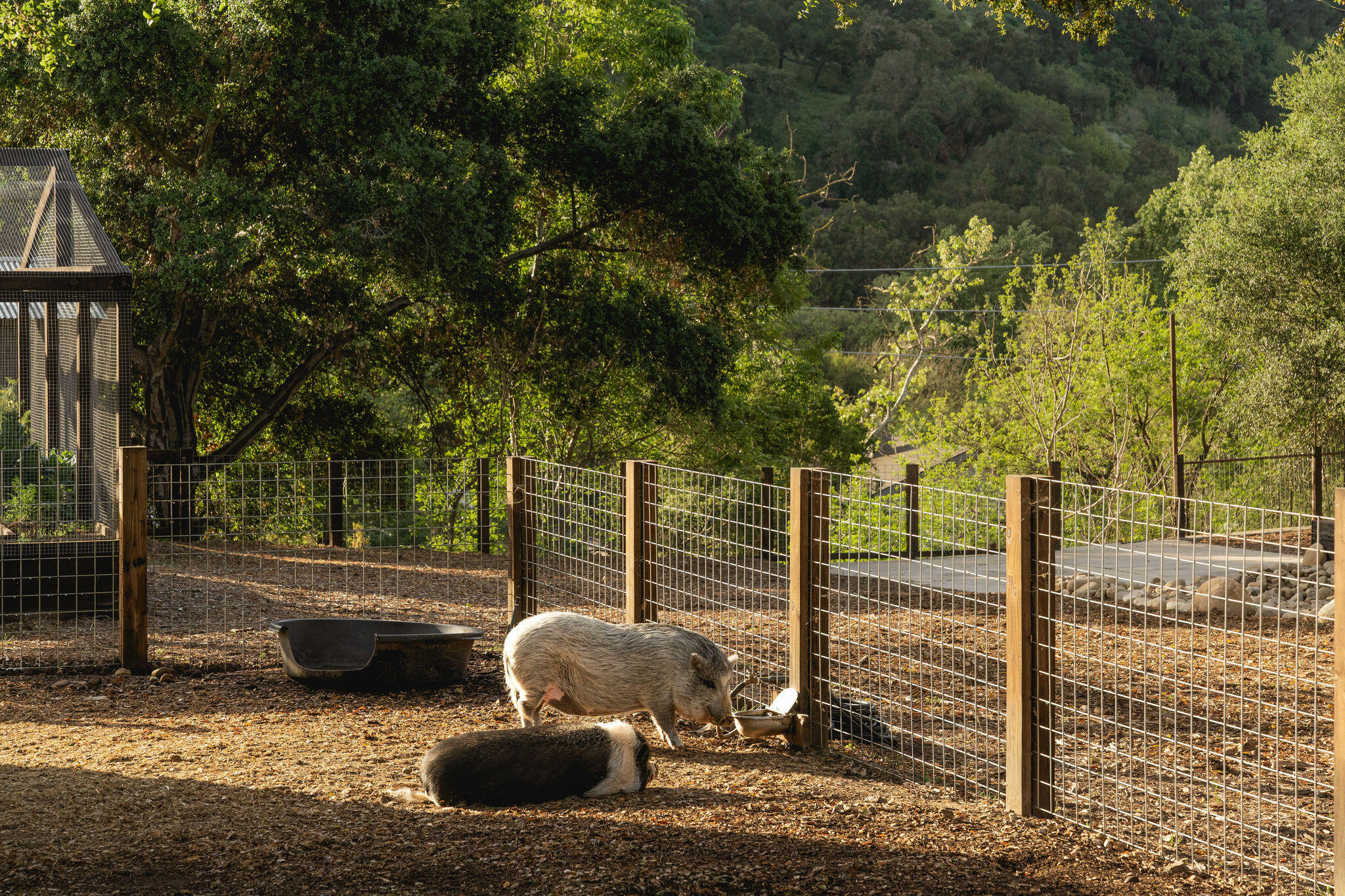 10802 Oak Knoll Road, OJAI