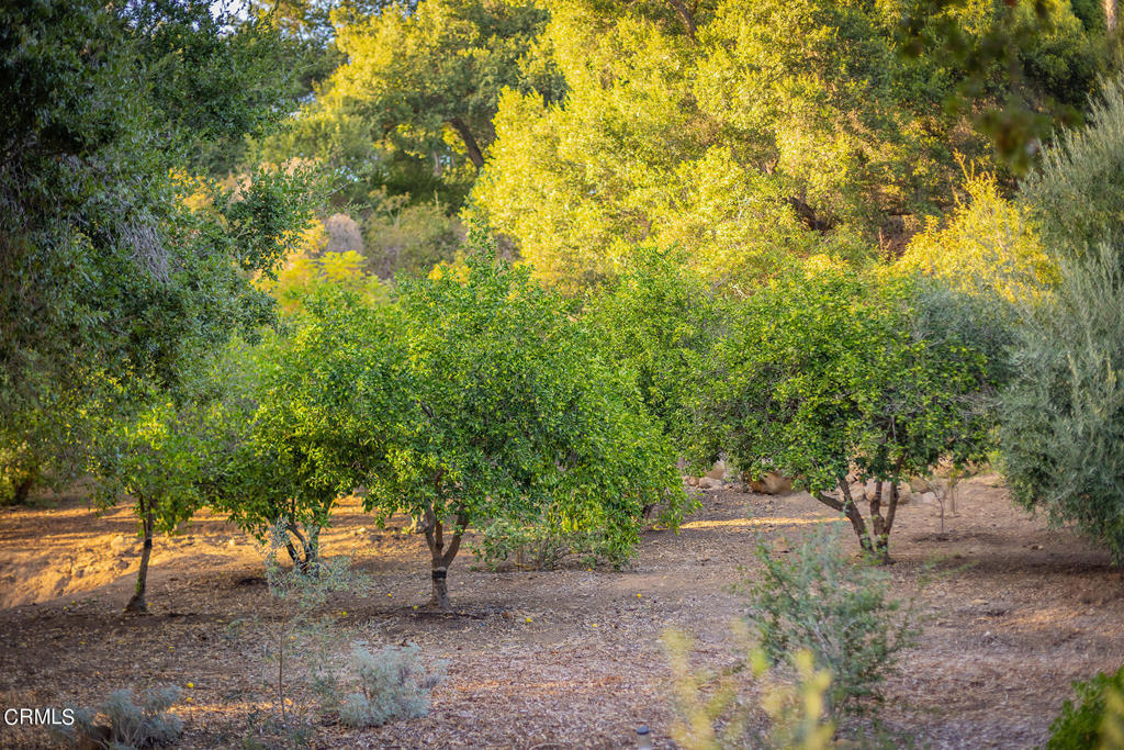 265 E Villanova Road