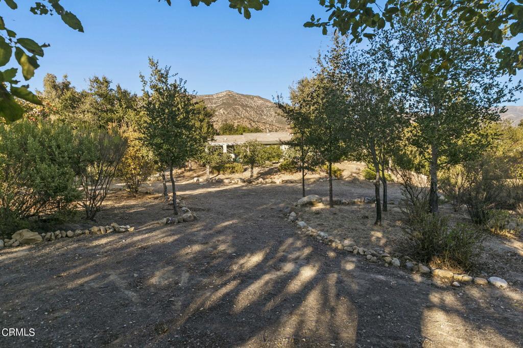 535 Del Oro Drive