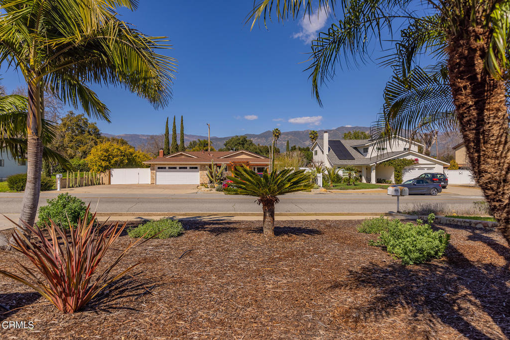 1084 Woodland Avenue