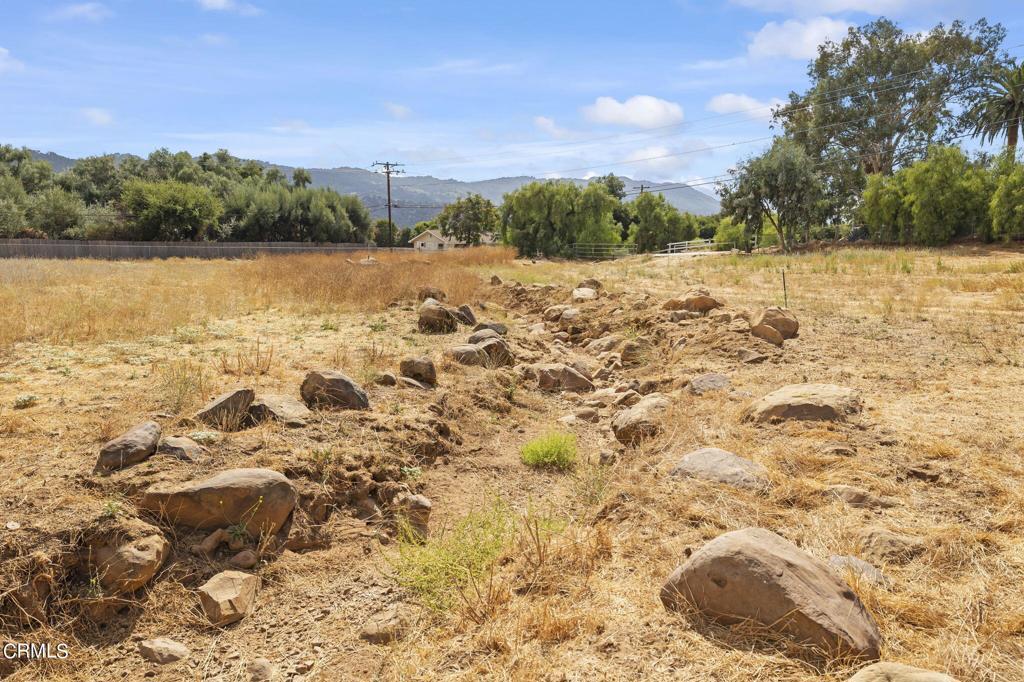 12810 Treeranch Road