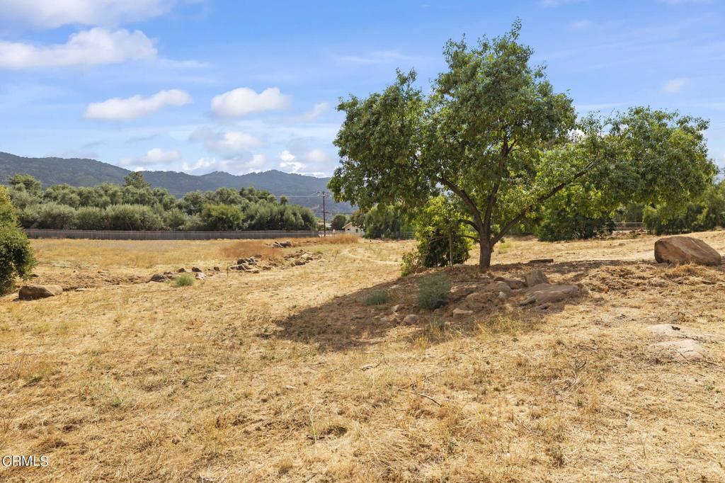 12810 Treeranch Road