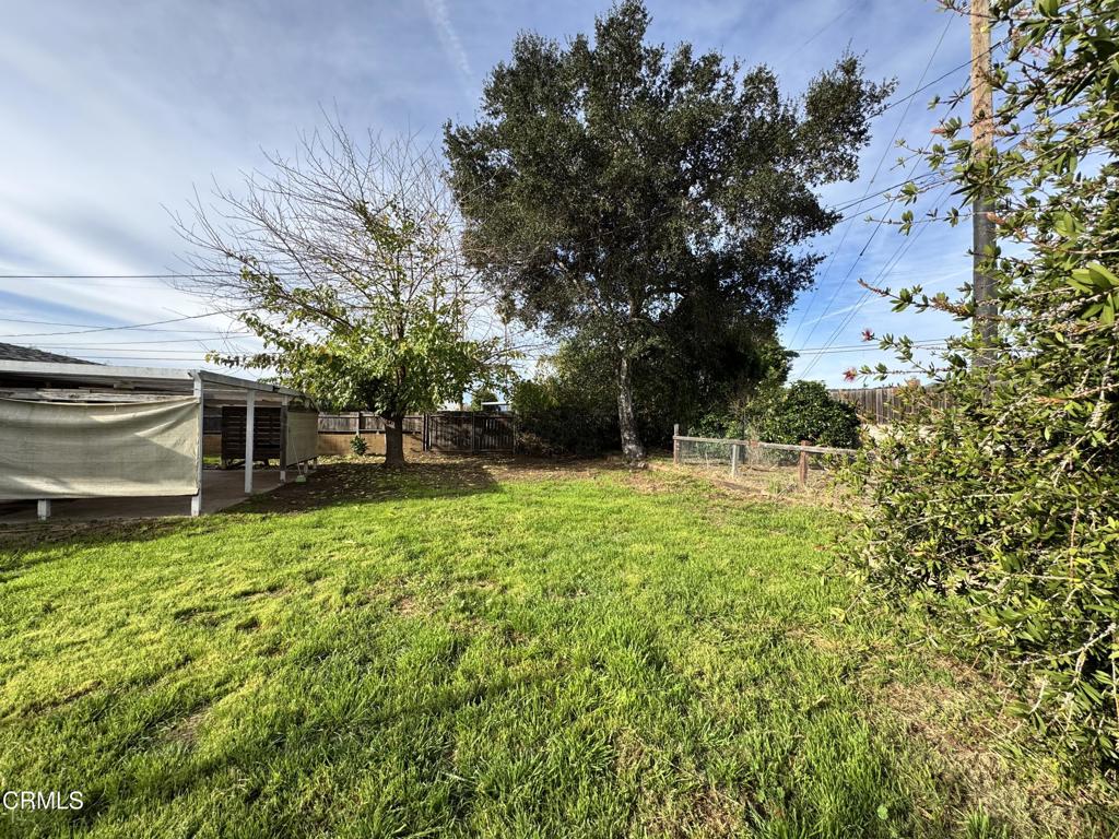 11 Calle Cinco De Mayo