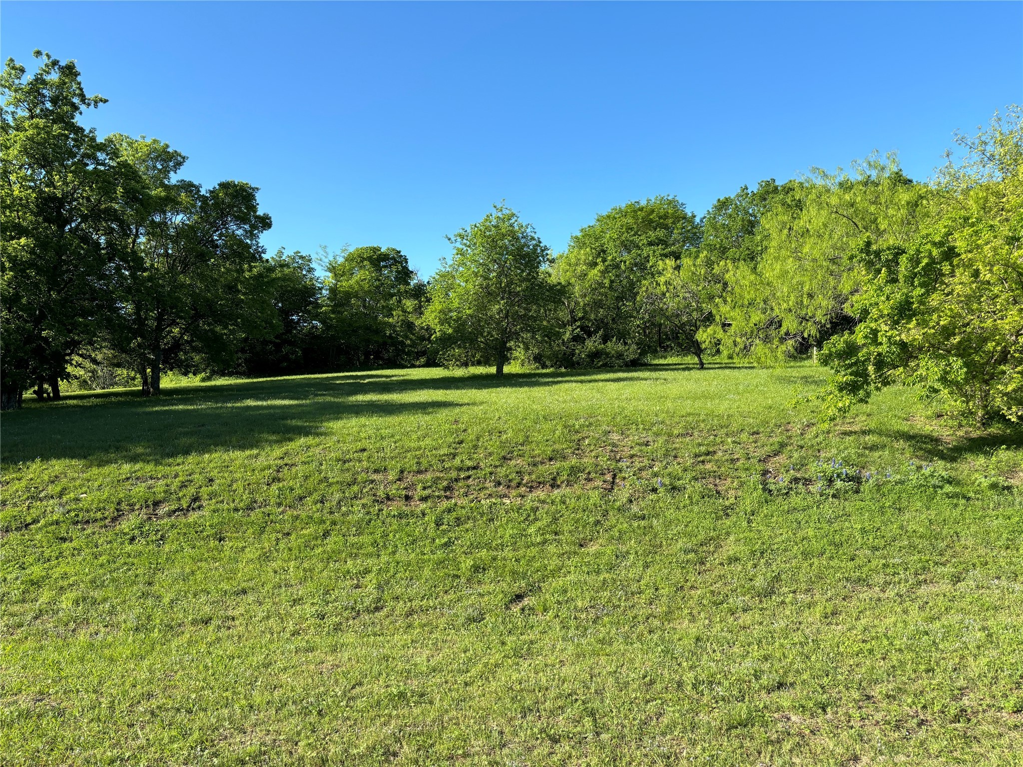 912 Mallard Pointe Drive