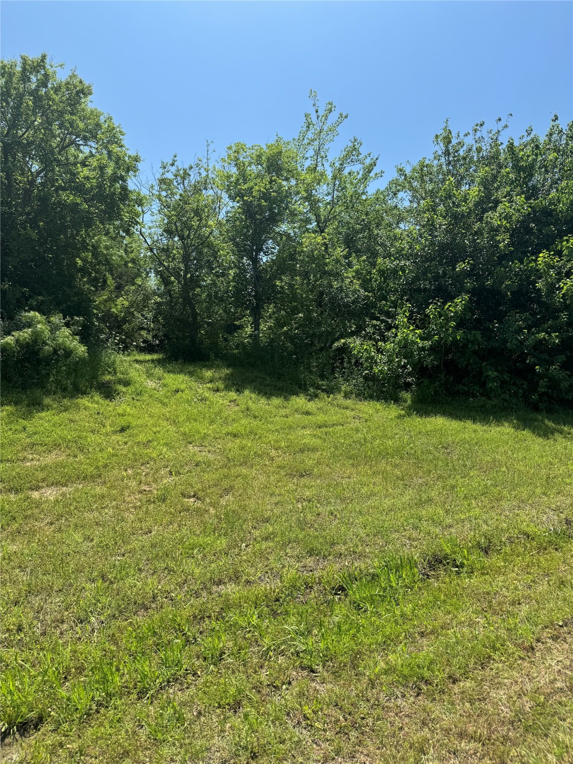 916 Mallard Pointe Drive