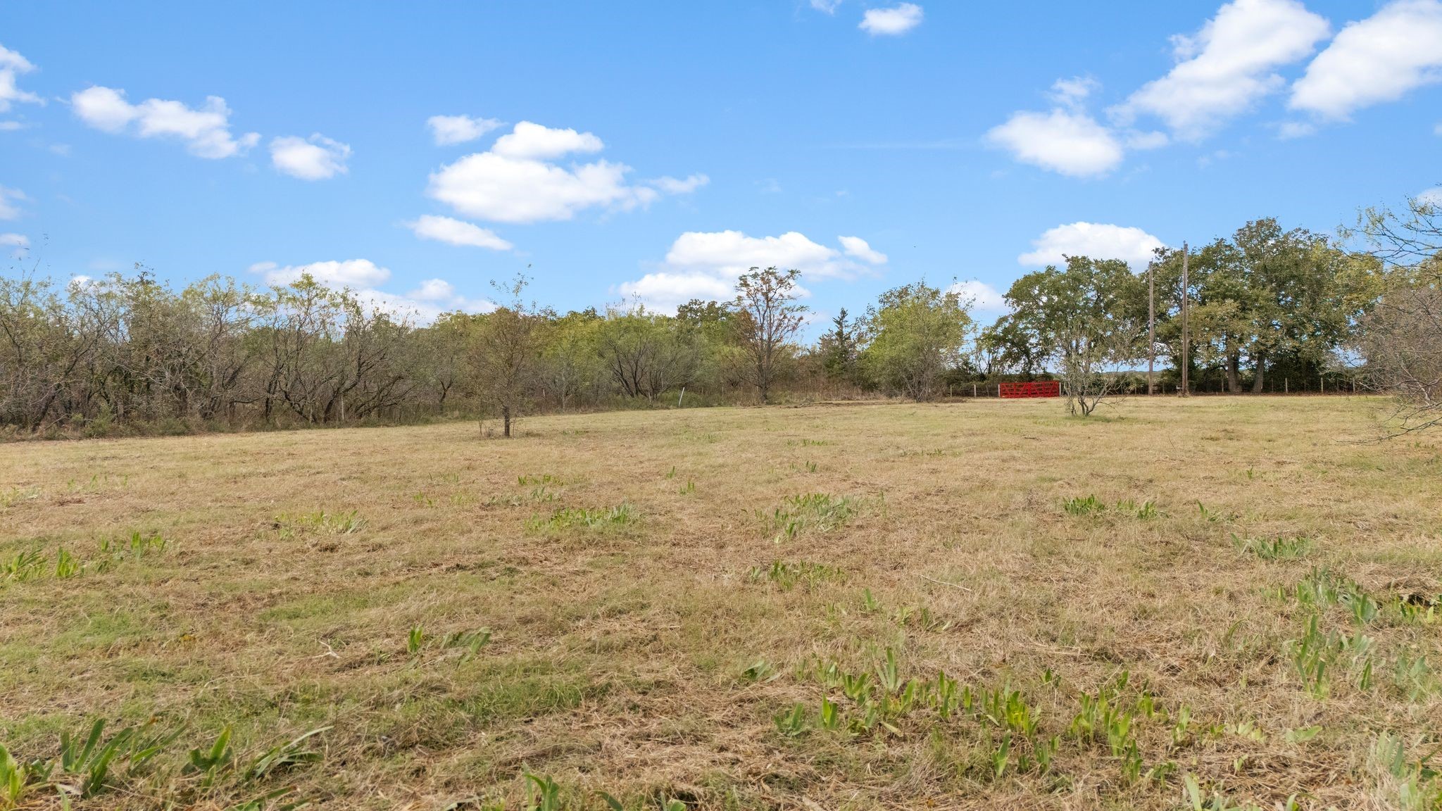 870 Wagoner Road