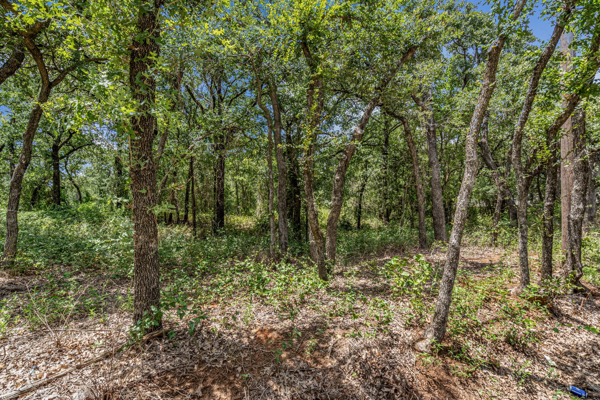 1963 Callender Road
