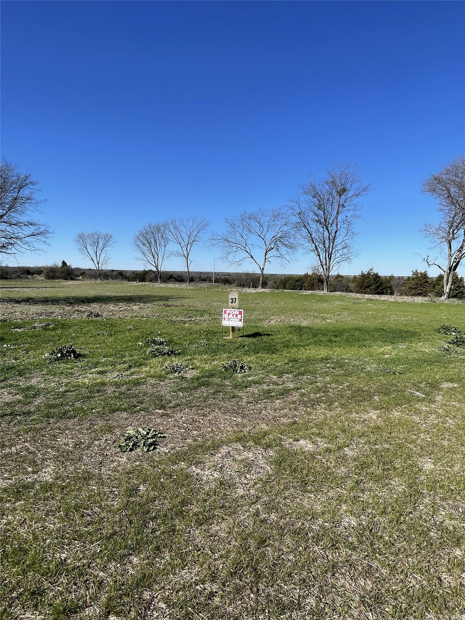 TBD Jim Bynum Boulevard