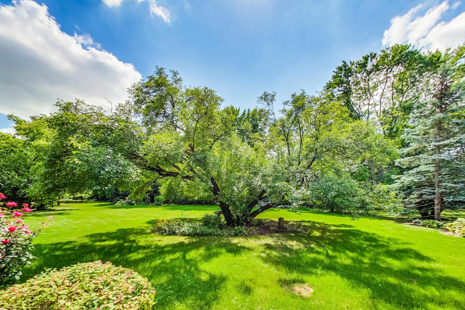 17W231 Hillside Lane