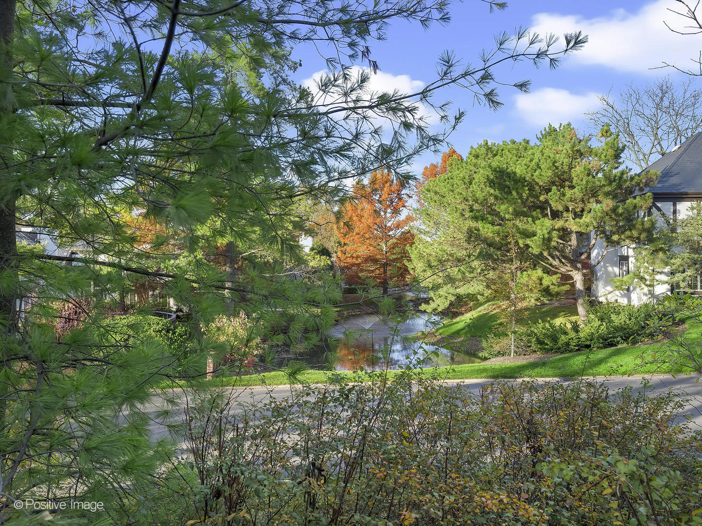 701 Burr Ridge Club Drive