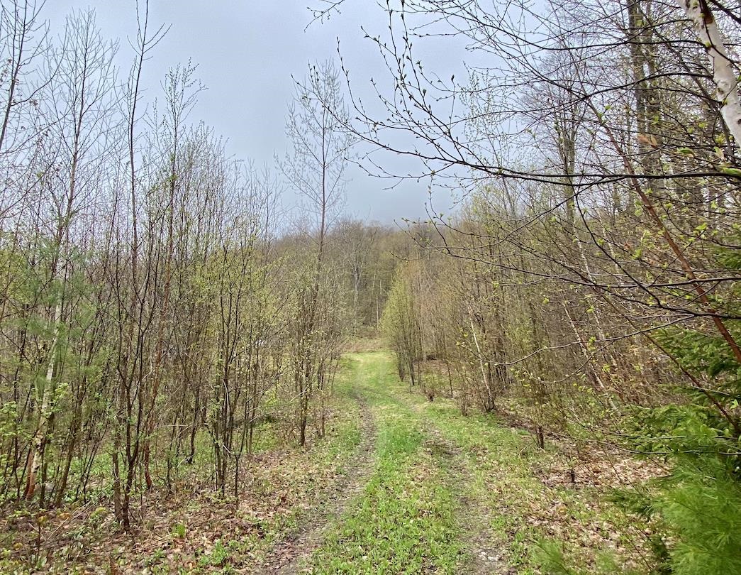 00 Charlie Wilson Road