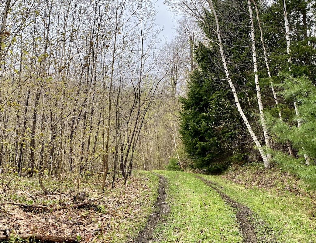 00 Charlie Wilson Road