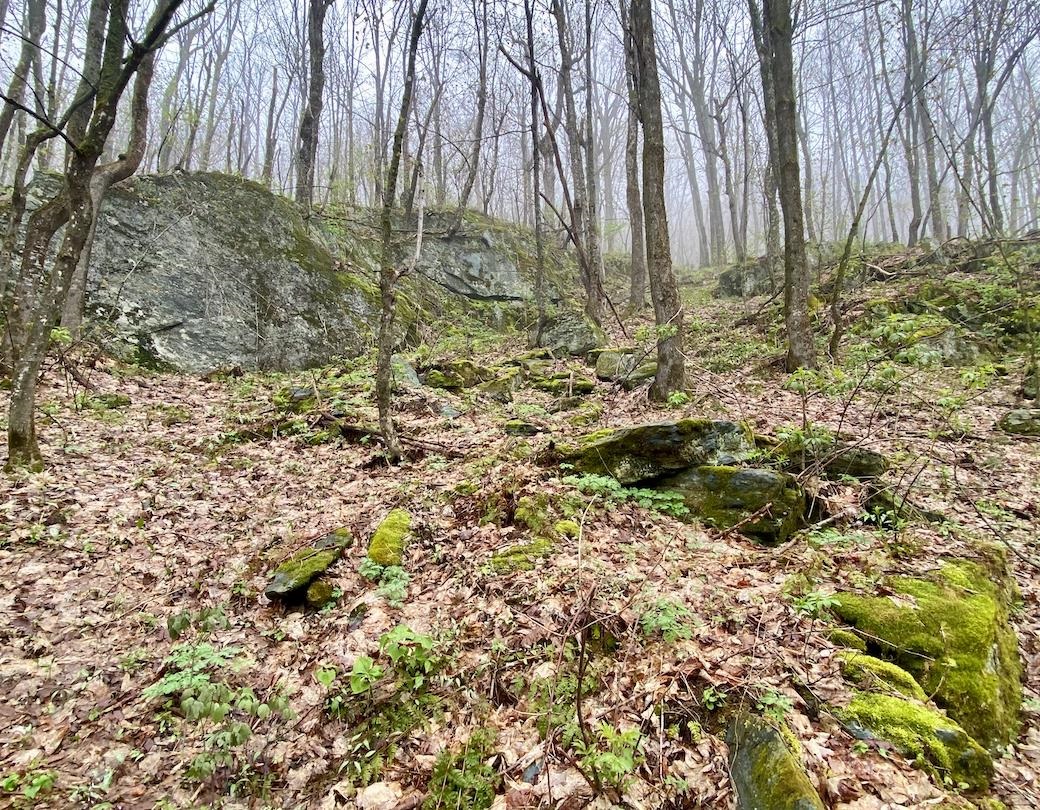 00 Charlie Wilson Road