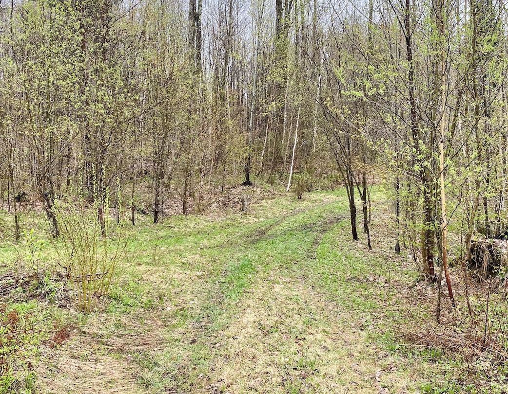 00 Charlie Wilson Road