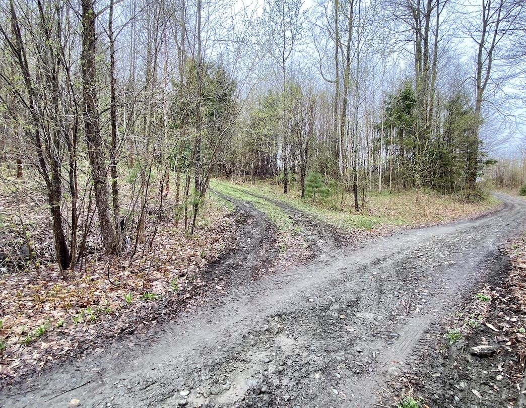 00 Charlie Wilson Road