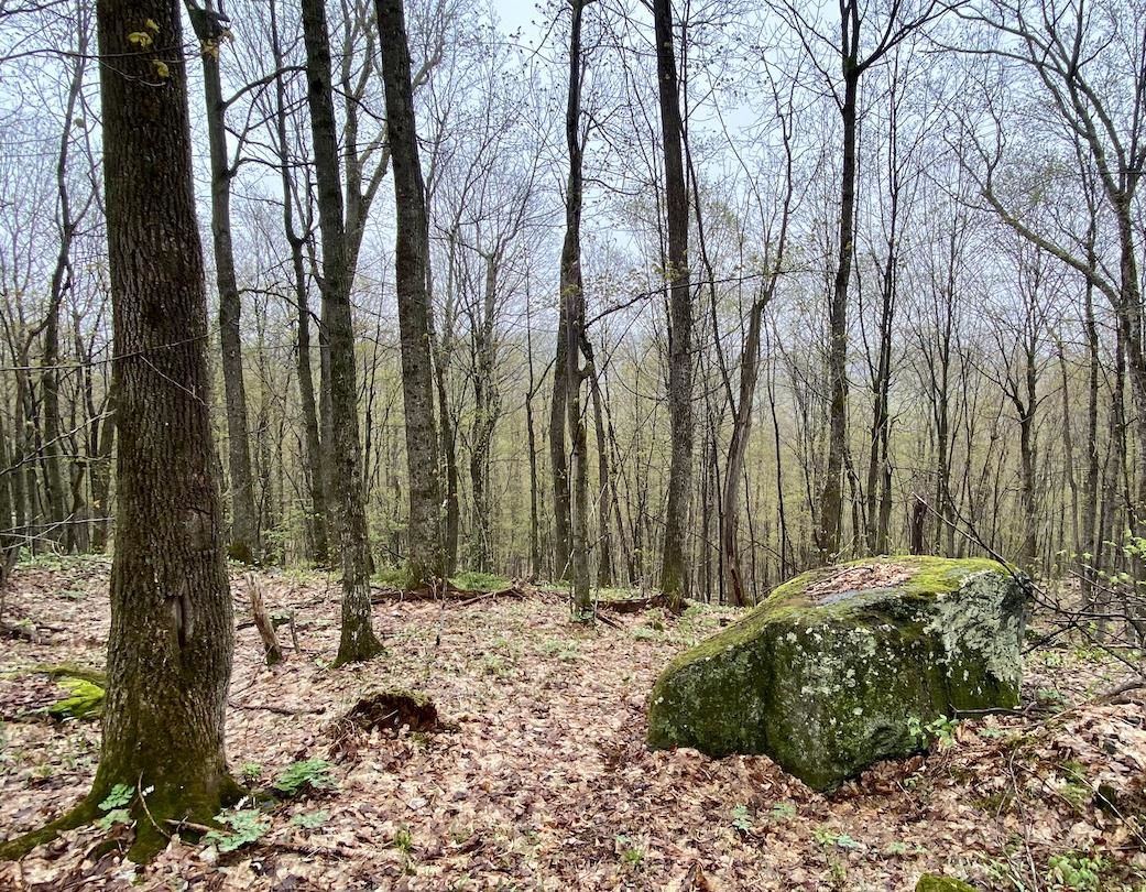 00 Charlie Wilson Road