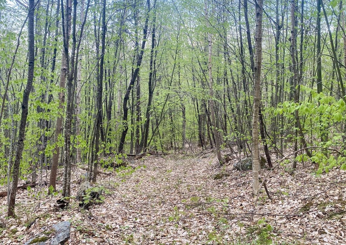 00 Charlie Wilson Road